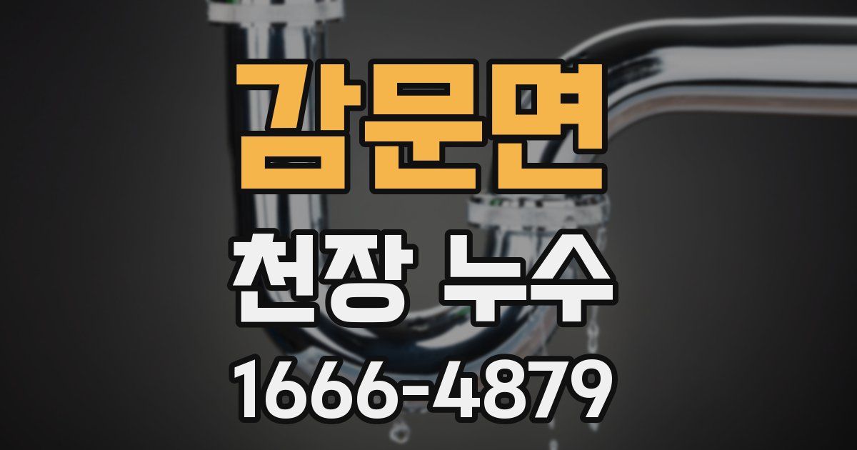 감문면 천장 누수