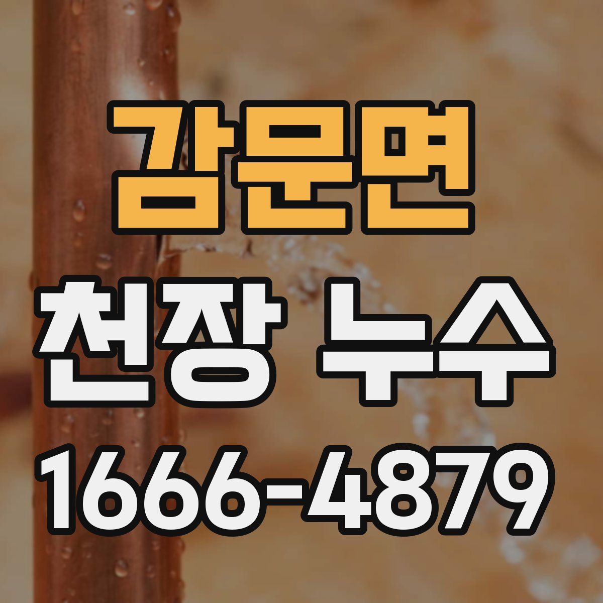 감문면 천장 누수