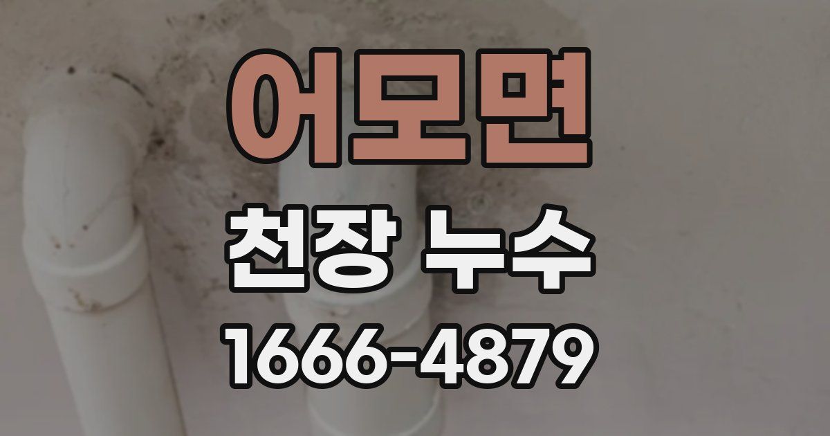 어모면 천장 누수