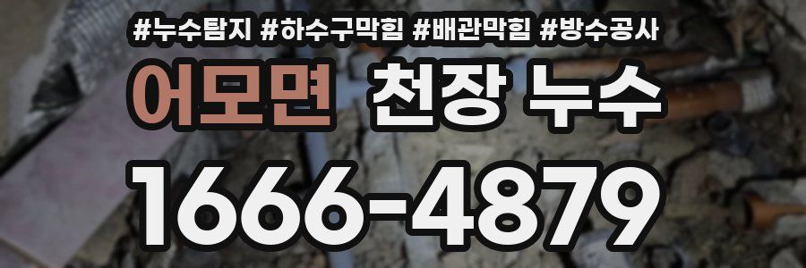 어모면 천장 누수