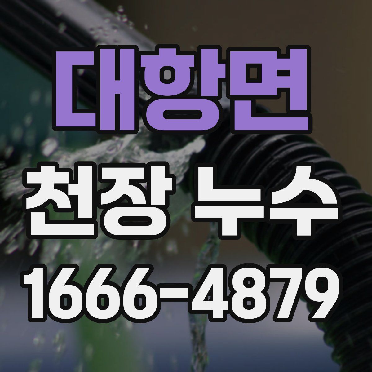 대항면 천장 누수