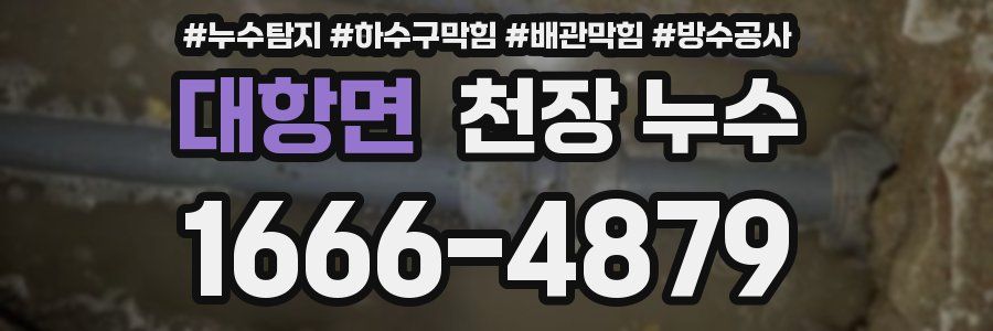 대항면 천장 누수