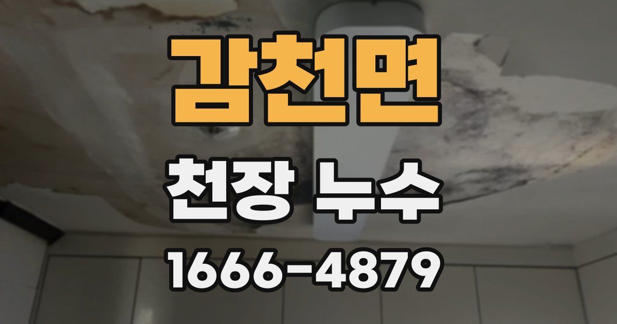 감천면 천장 누수