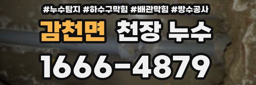 감천면 천장 누수