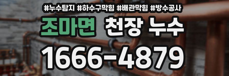 조마면 천장 누수