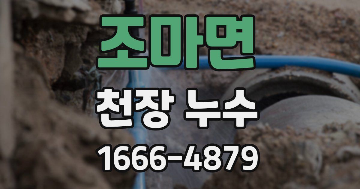 조마면 천장 누수