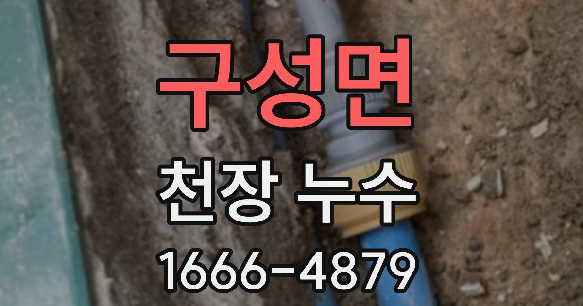 구성면 천장 누수