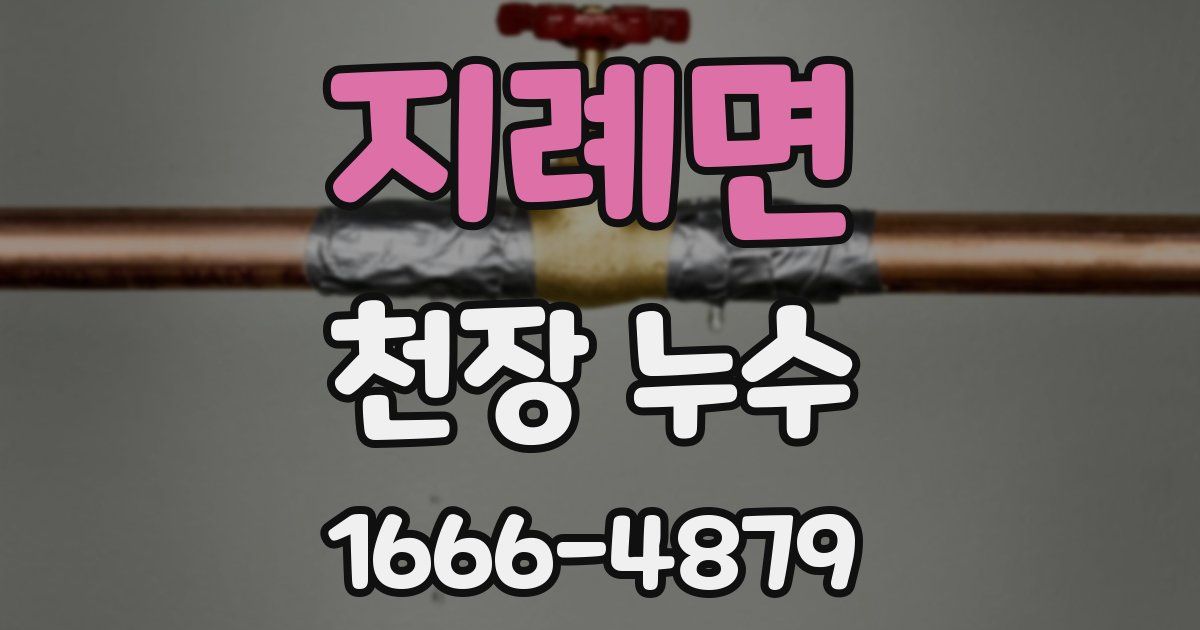지례면 천장 누수