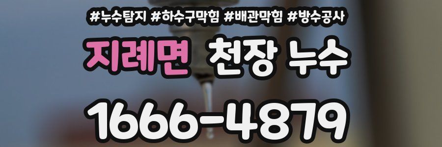 지례면 천장 누수
