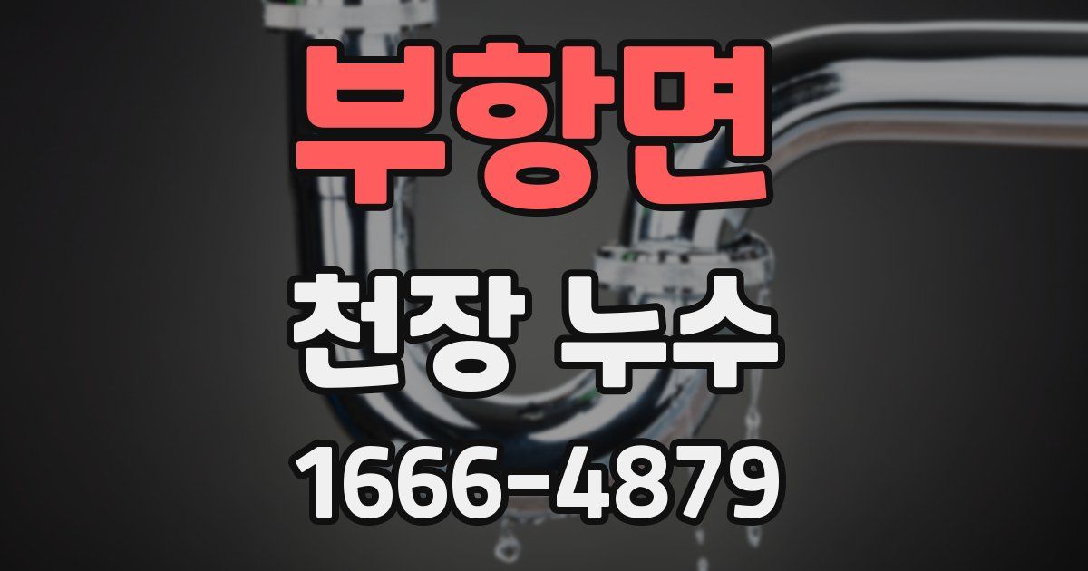 부항면 천장 누수