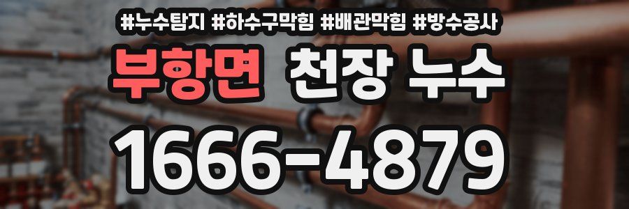 부항면 천장 누수