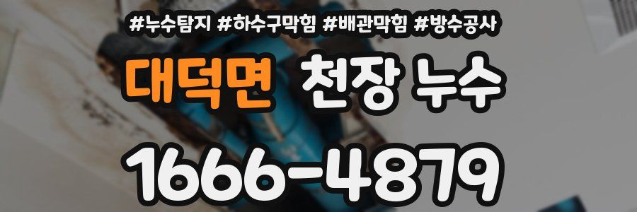 대덕면 천장 누수