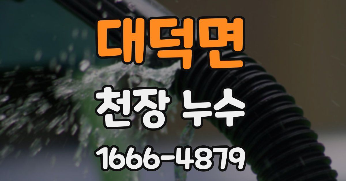 대덕면 천장 누수