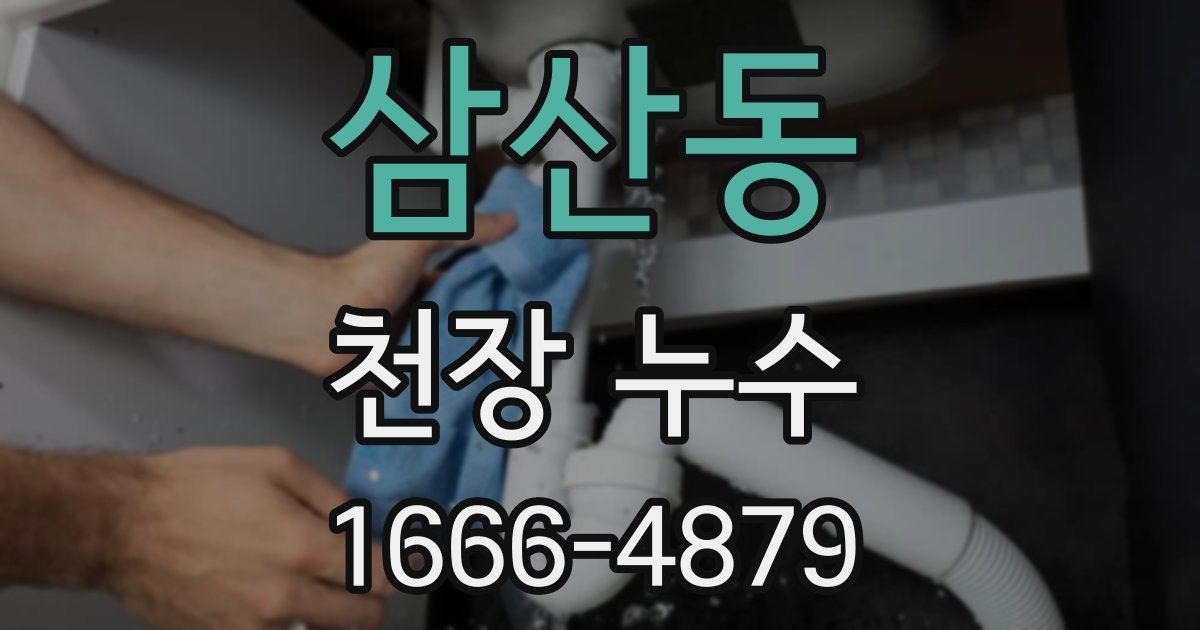 삼산동 천장 누수