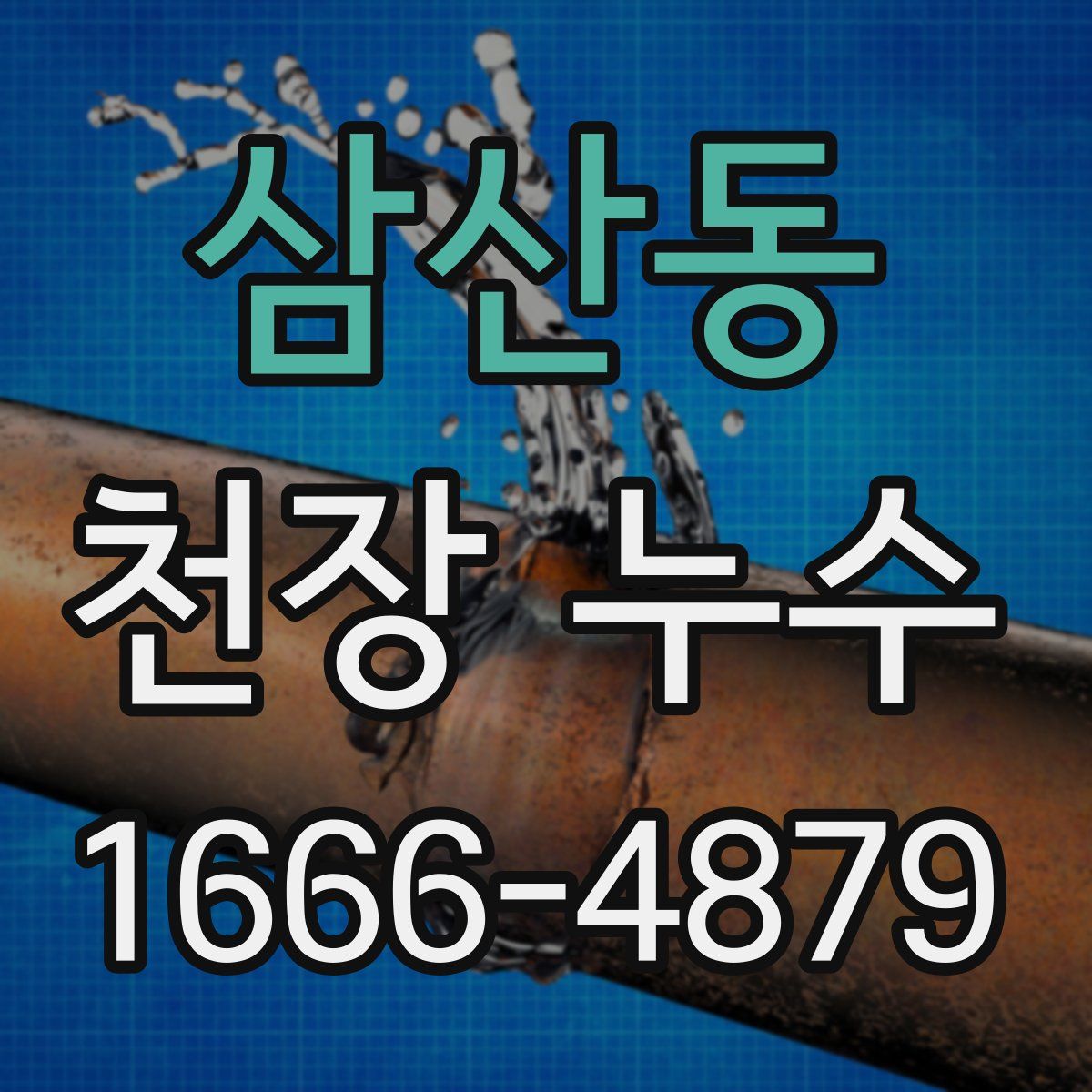삼산동 천장 누수