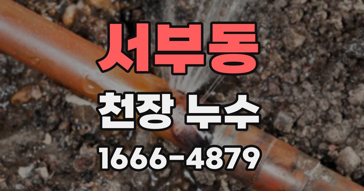 서부동 천장 누수