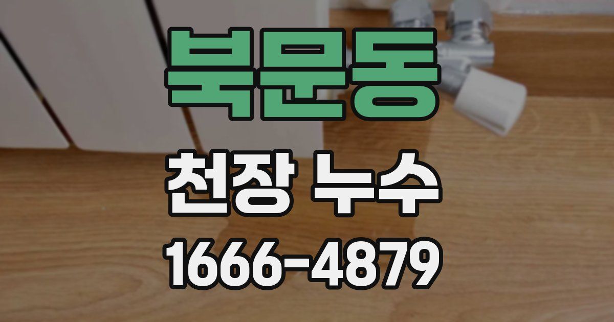 북문동 천장 누수