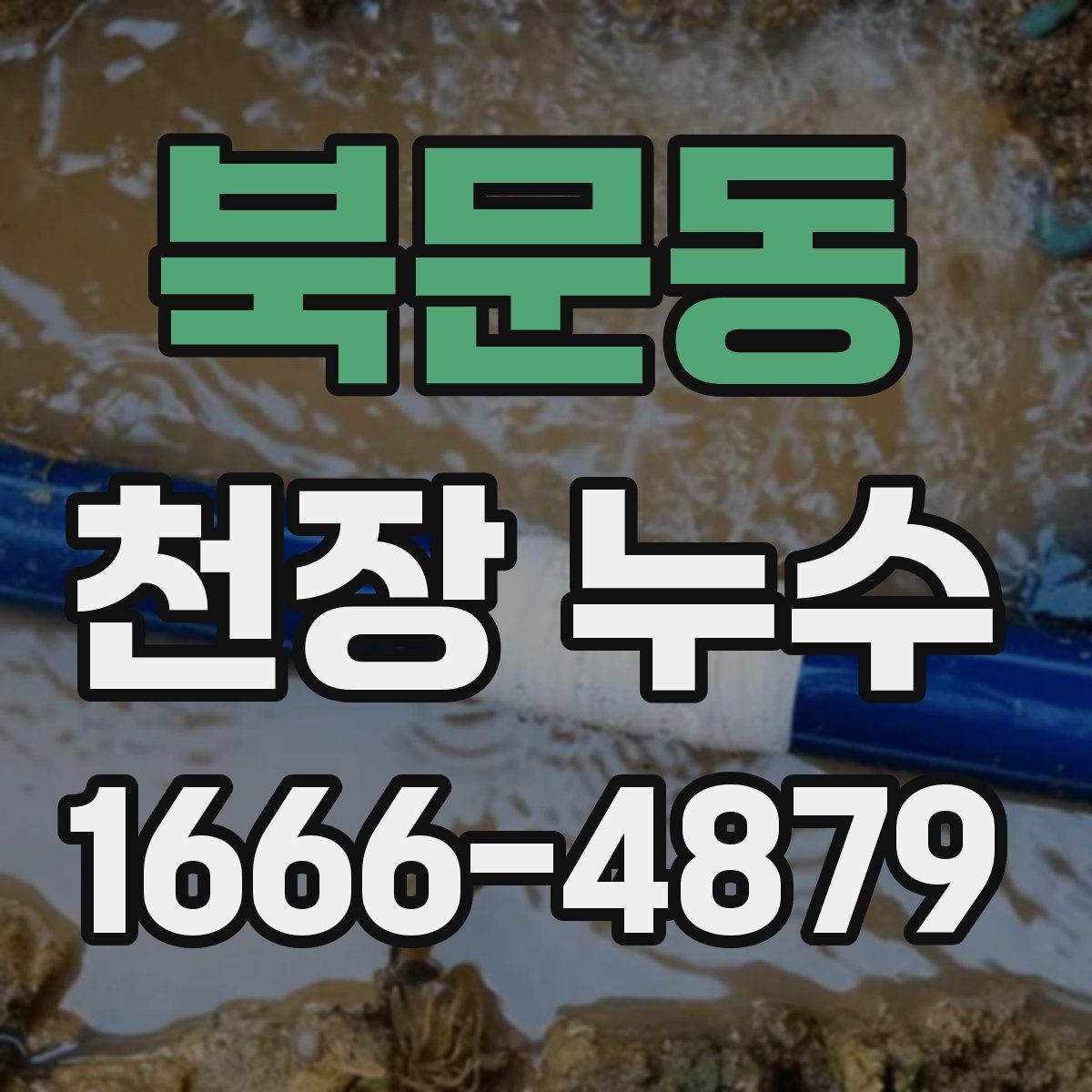 북문동 천장 누수
