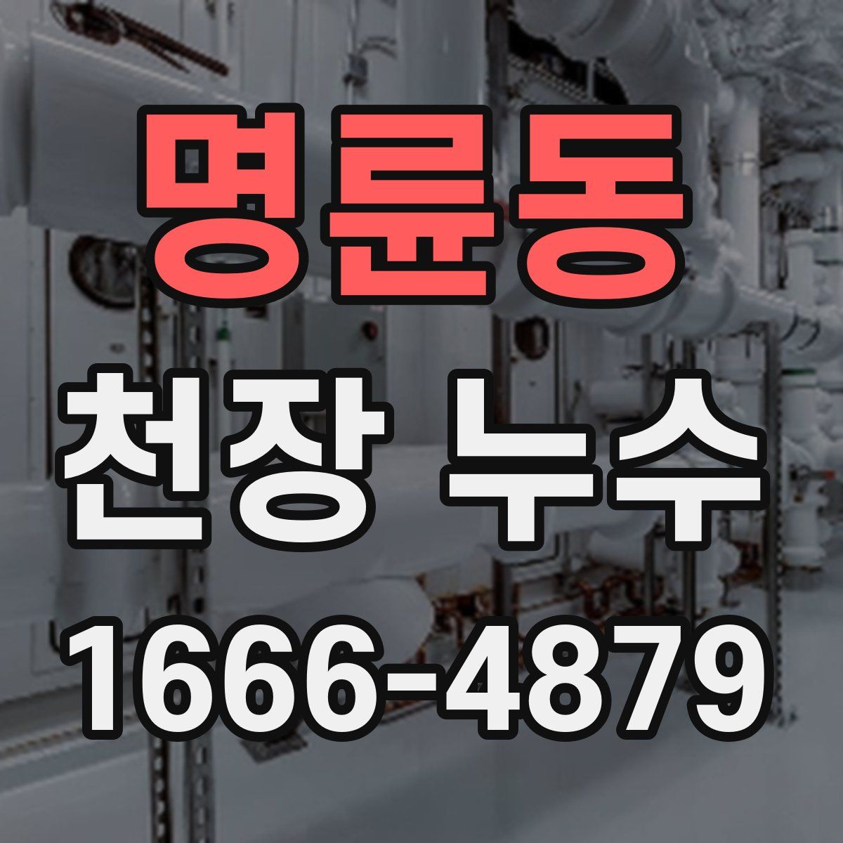 명륜동 천장 누수