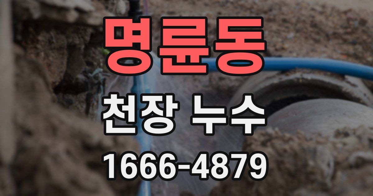 명륜동 천장 누수