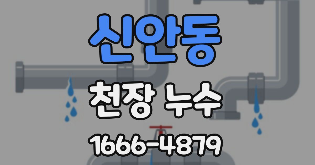 신안동 천장 누수