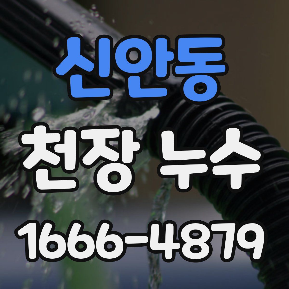 신안동 천장 누수