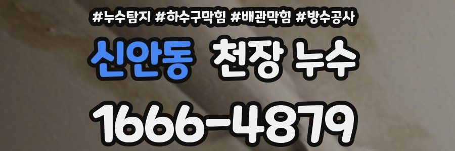 신안동 천장 누수