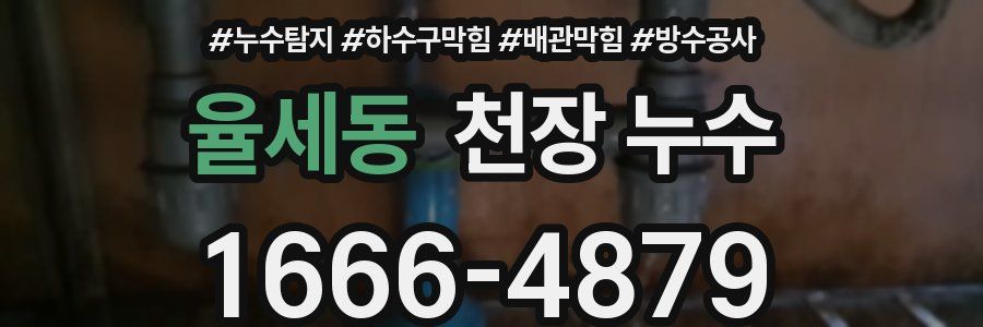 율세동 천장 누수