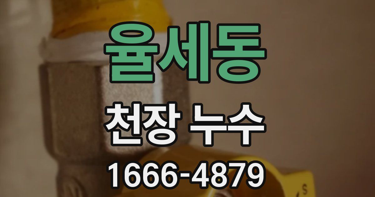 율세동 천장 누수