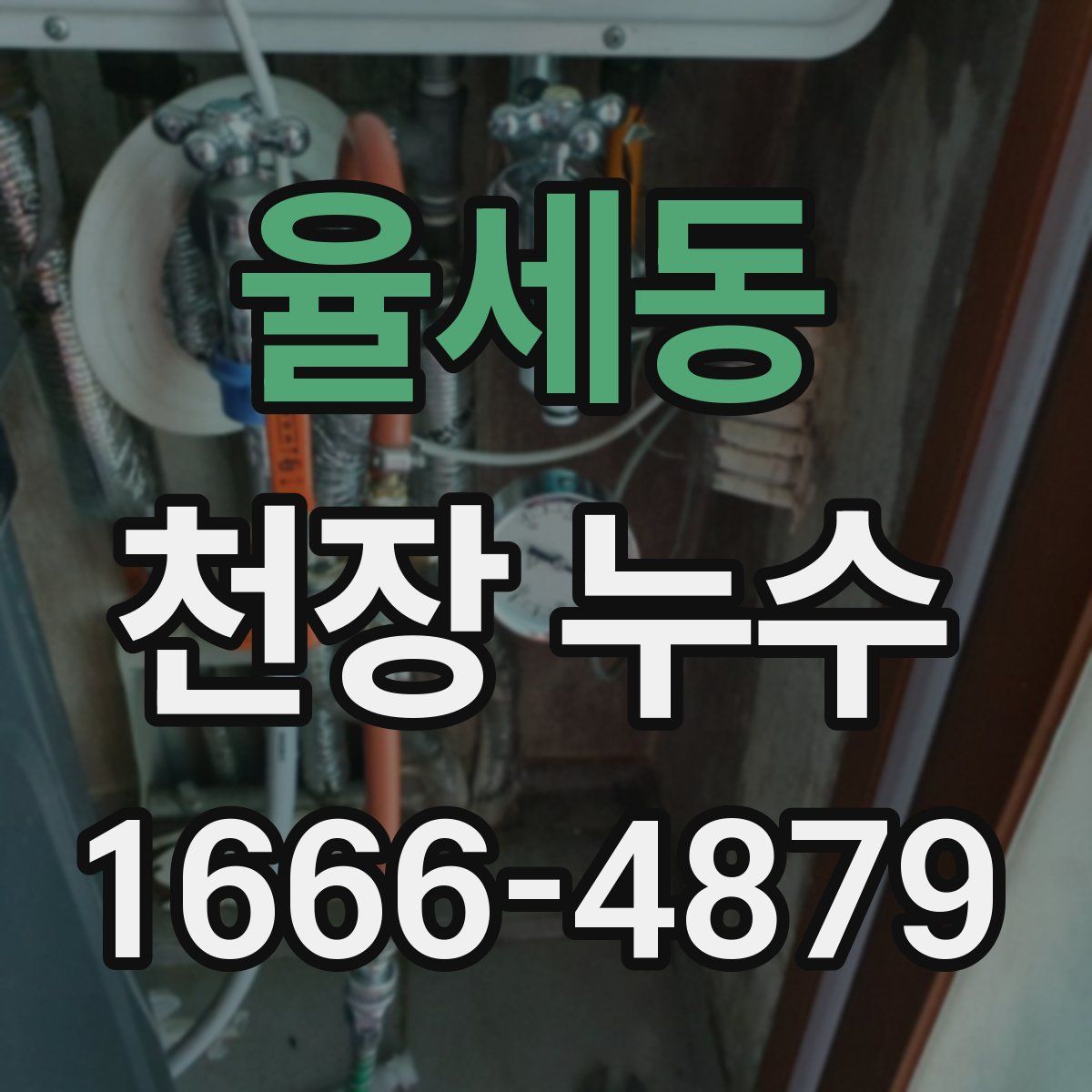 율세동 천장 누수