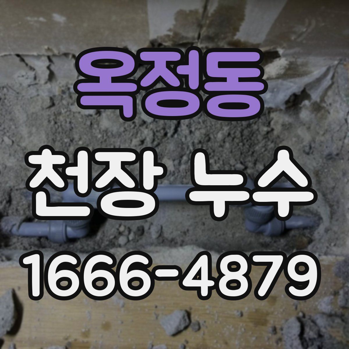 옥정동 천장 누수