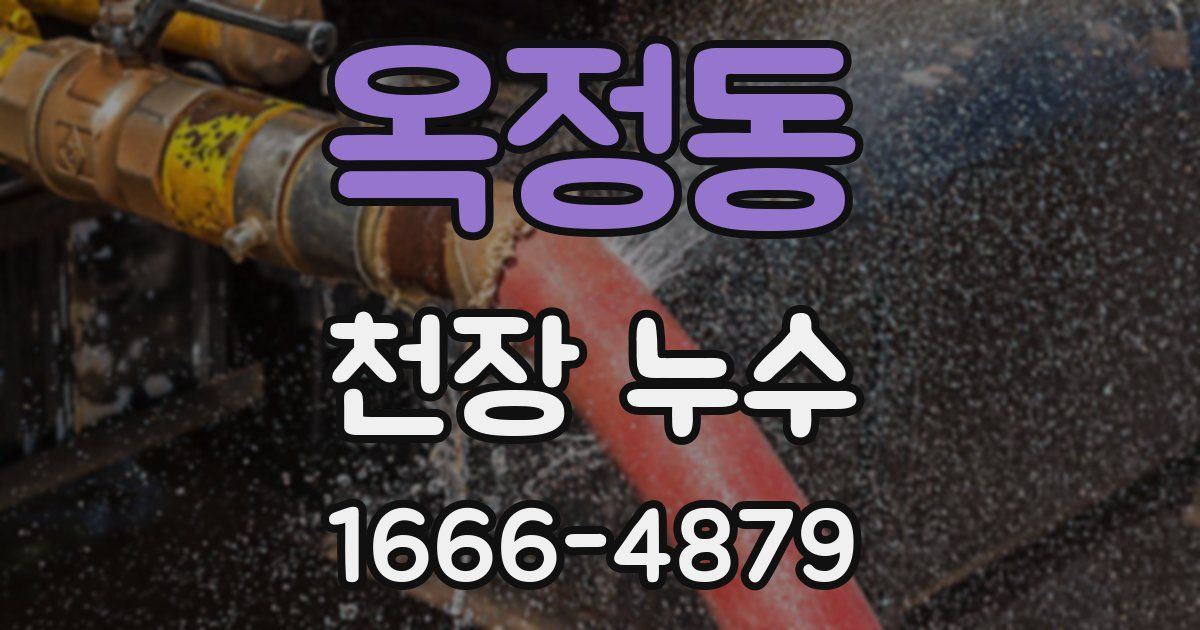 옥정동 천장 누수