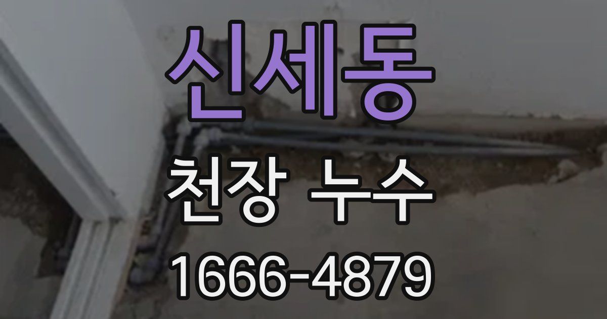 신세동 천장 누수