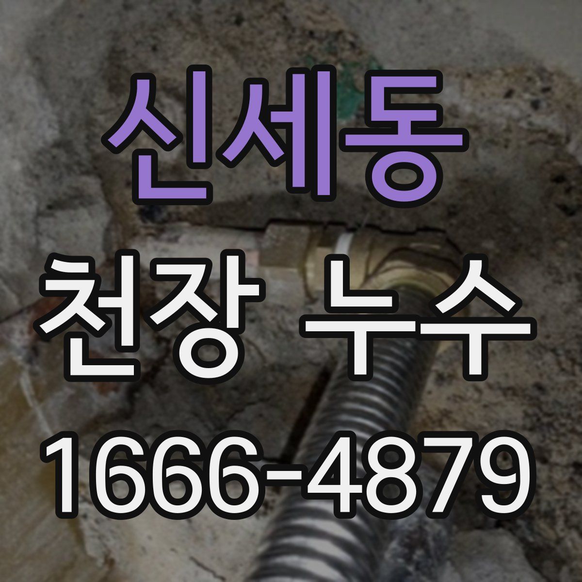 신세동 천장 누수