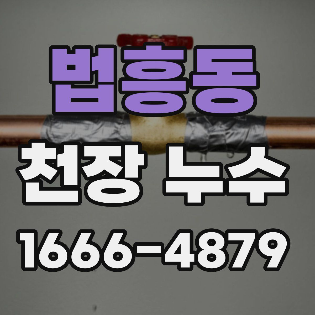 법흥동 천장 누수