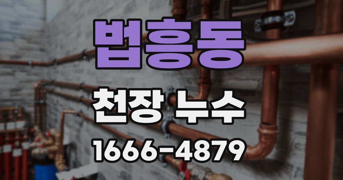 법흥동 천장 누수