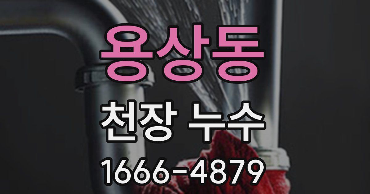 용상동 천장 누수
