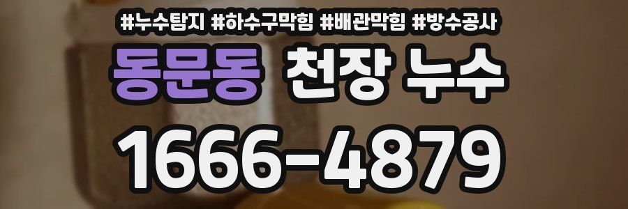동문동 천장 누수
