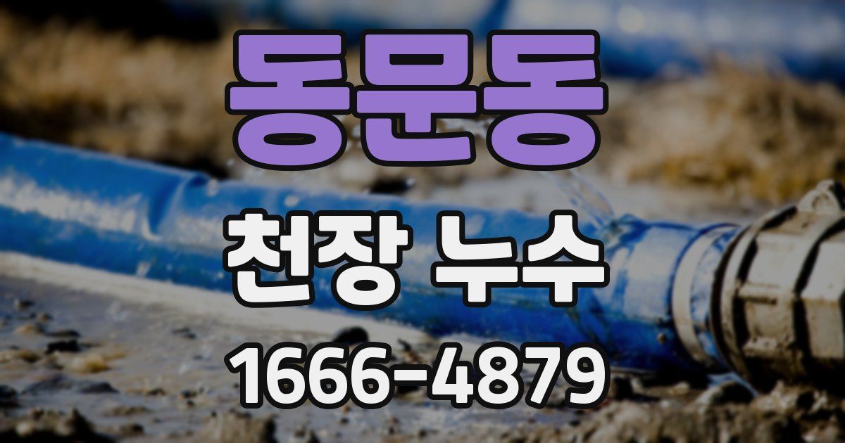 동문동 천장 누수