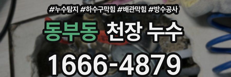 동부동 천장 누수