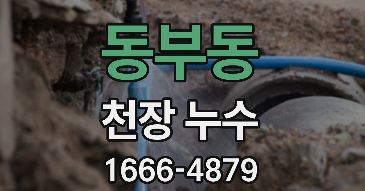 동부동 천장 누수