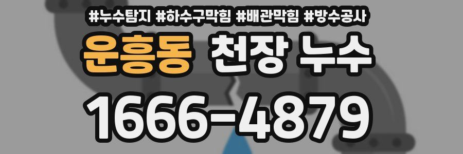 운흥동 천장 누수