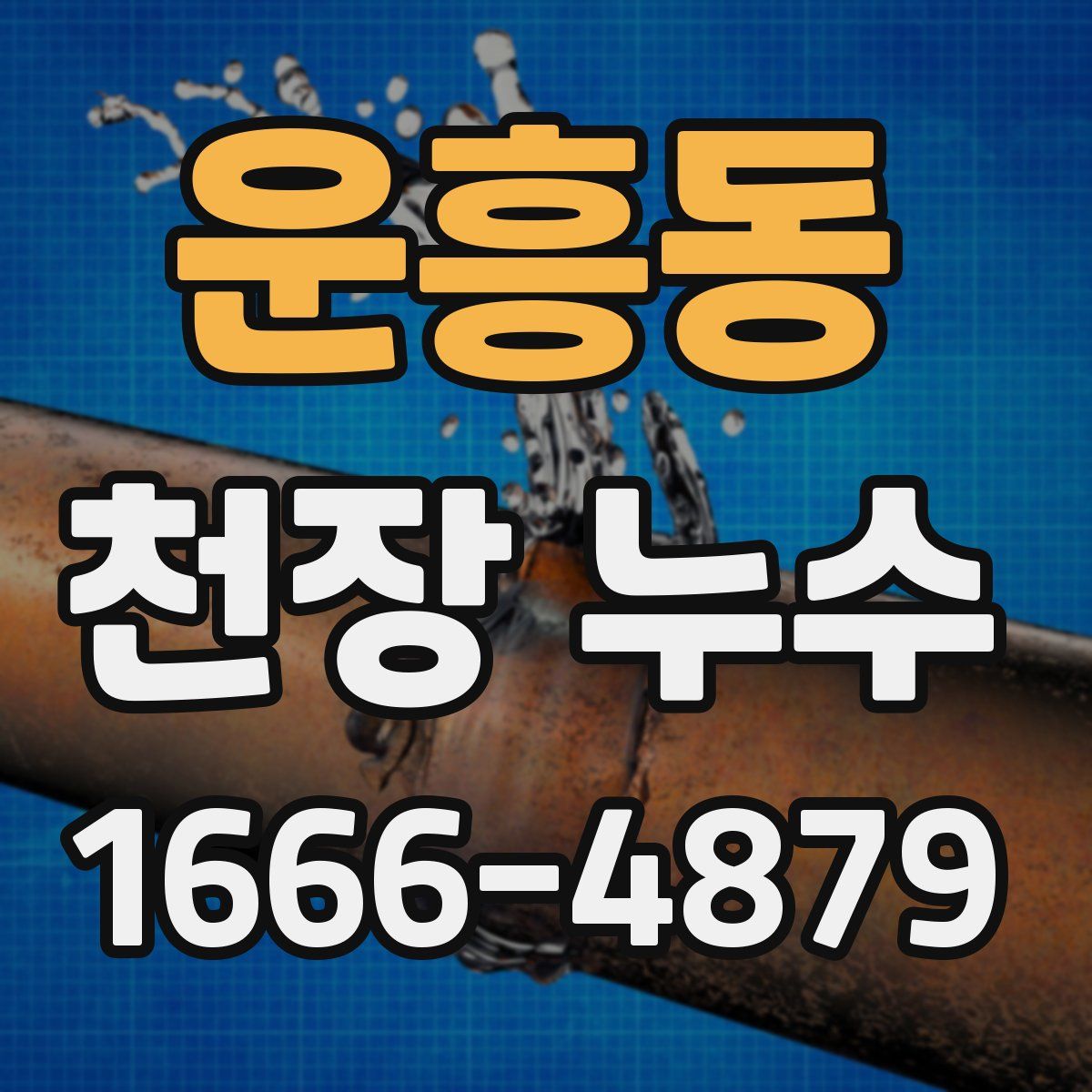 운흥동 천장 누수