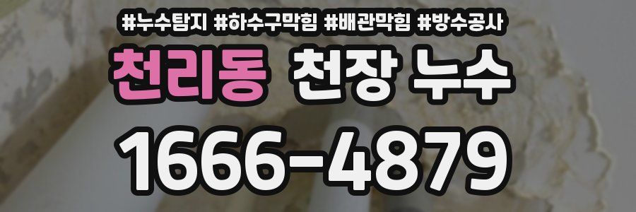 천리동 천장 누수