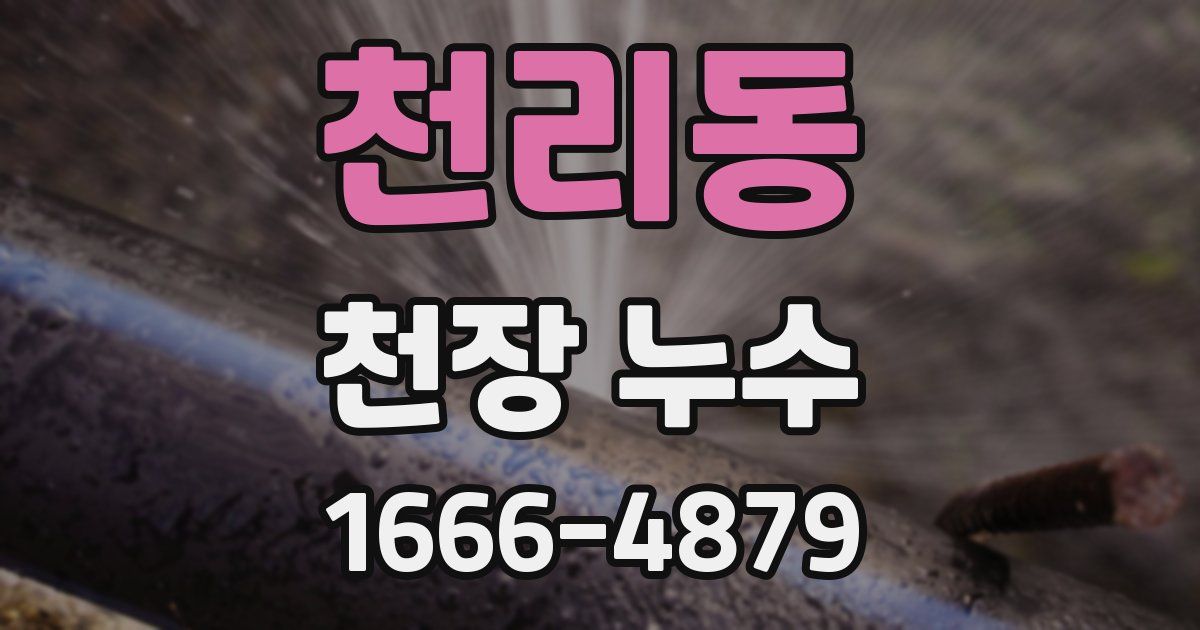 천리동 천장 누수