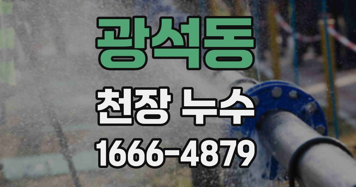 광석동 천장 누수