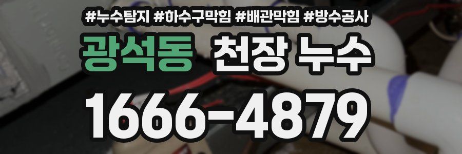 광석동 천장 누수