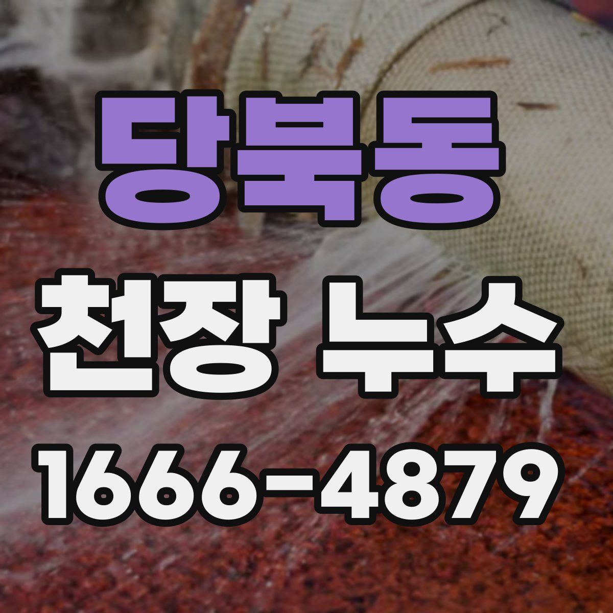 당북동 천장 누수