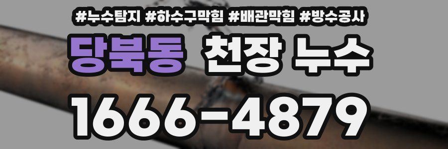 당북동 천장 누수