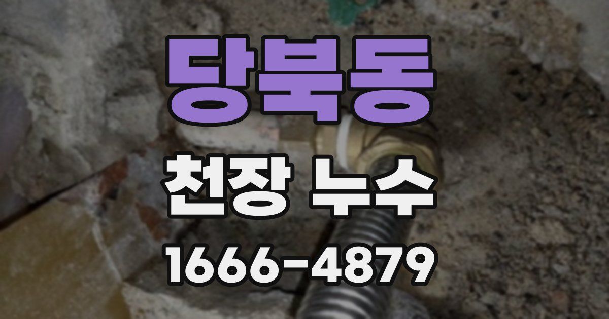 당북동 천장 누수